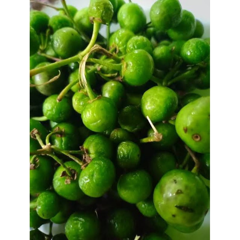 

leunca 250 gr
