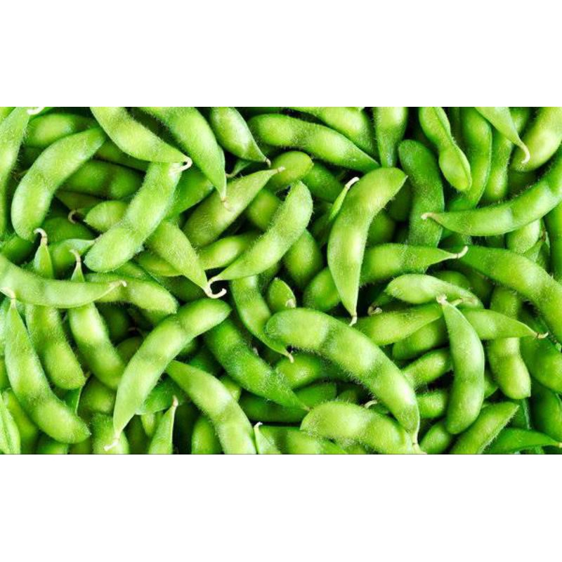 

edamame 1kg fresh