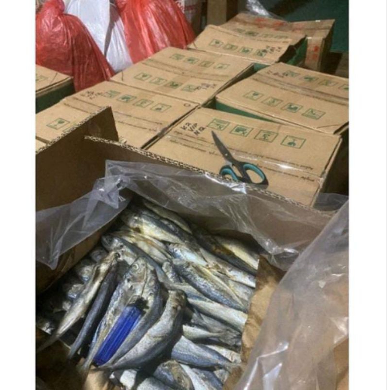 

IKAN ASIN PEDA / PEDO 500GR SUPER LOKAL DEMAK SUPER