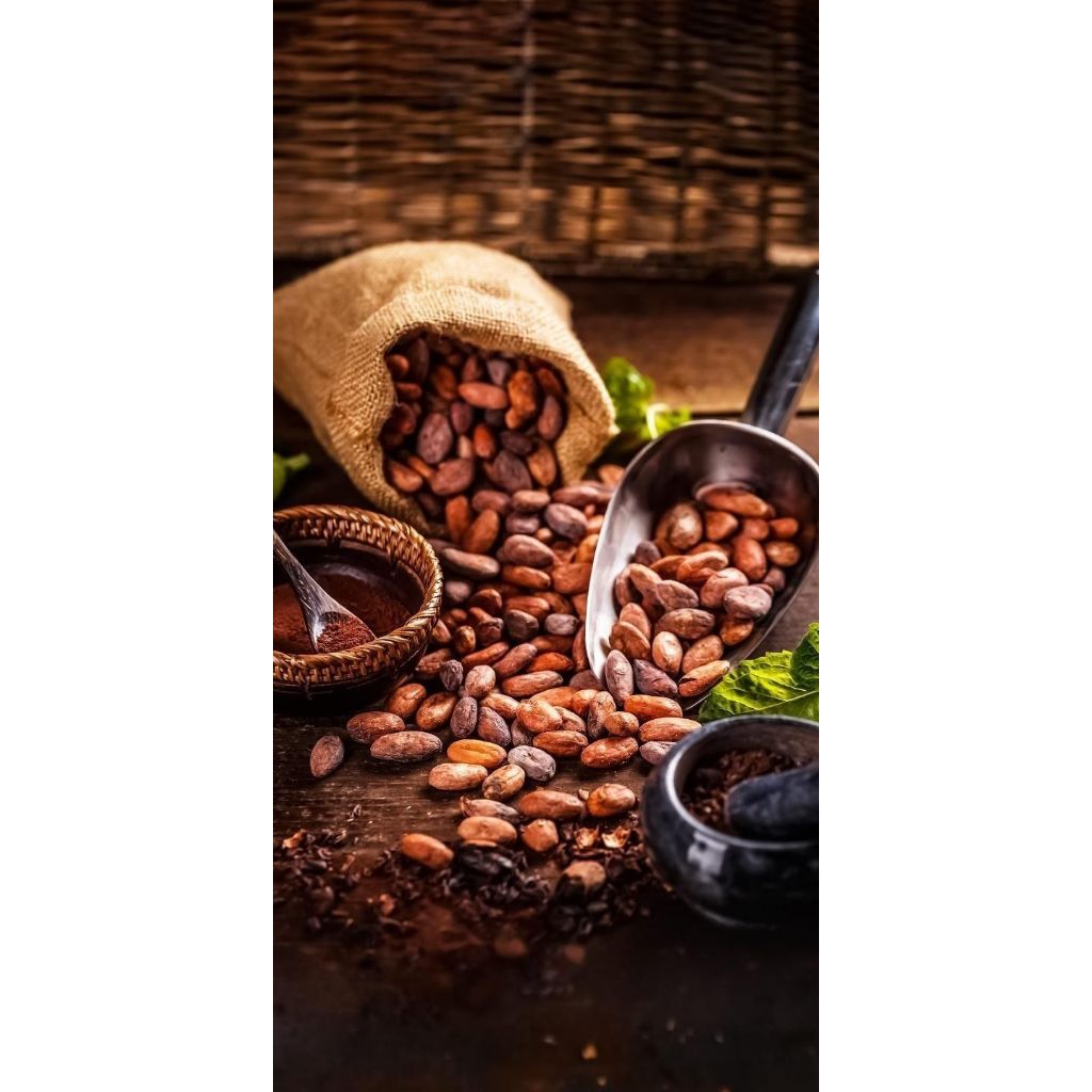 

Biji cokelat asli sajau 1kg