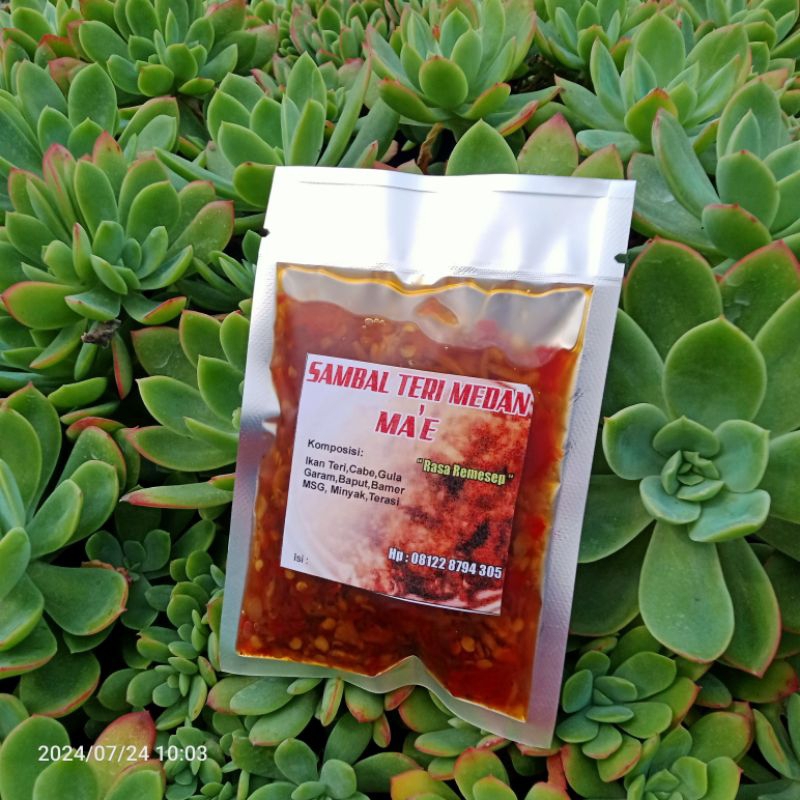 

sambal teri Medan pedas manis gurih ( isi 50 gram)