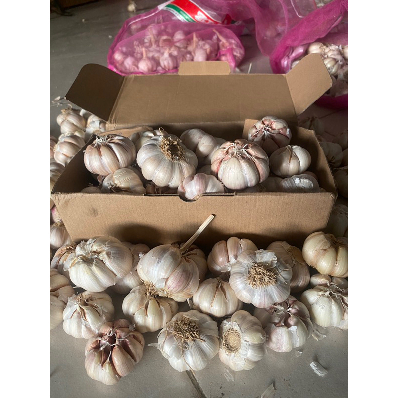 

Bawang Putih kering kualitas premium kemasan 1kg
