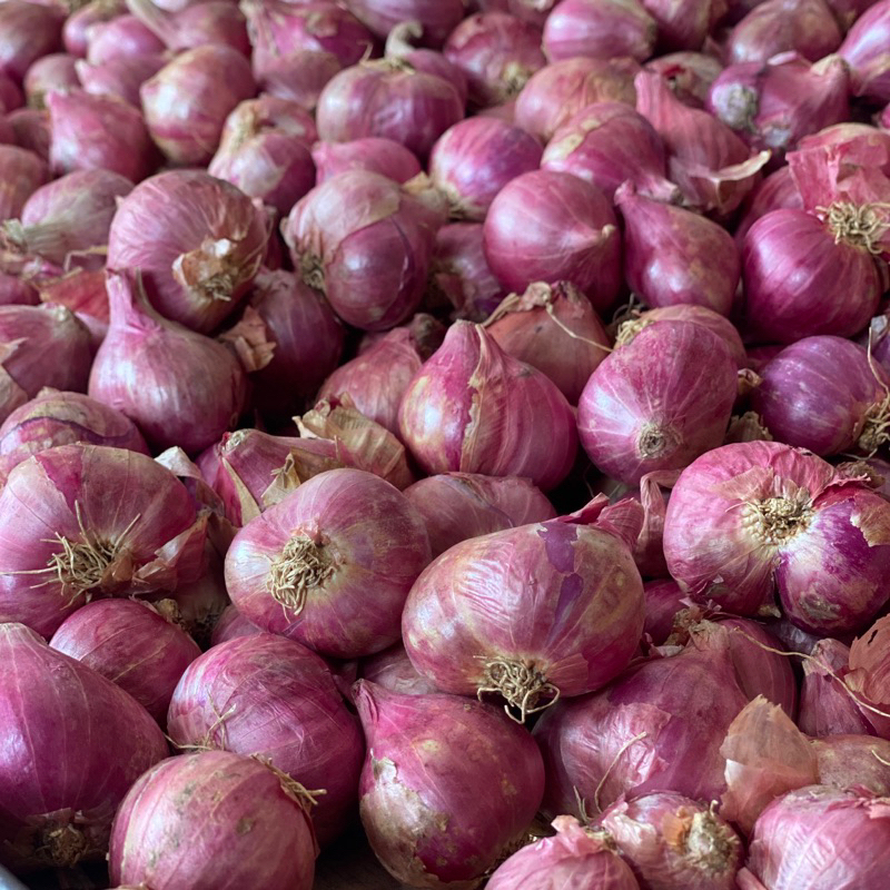 

Bawang merah brambang Lokal kualitas super kemasan 1 Kg