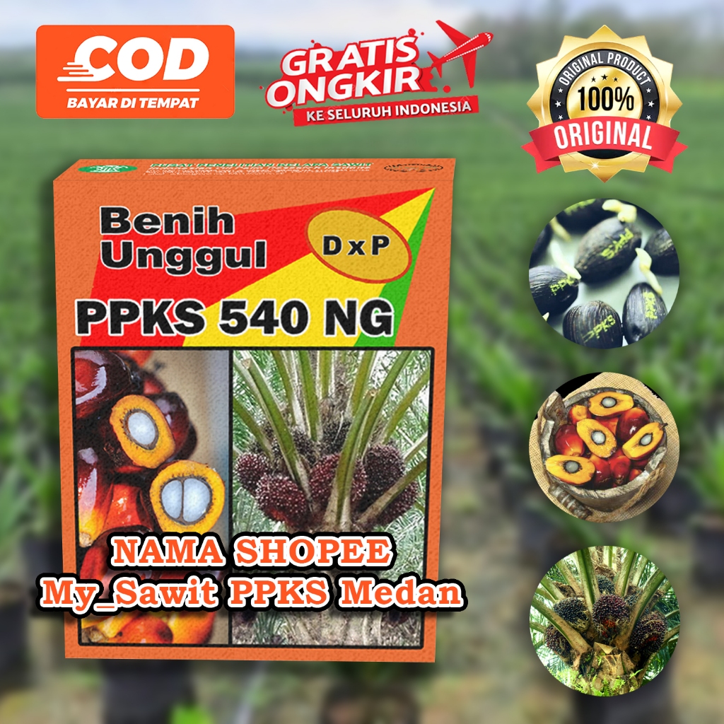 PPKS DXP 540NG SUPER UNGGUL DAPAT SERTIFIKAT DAN BONUS