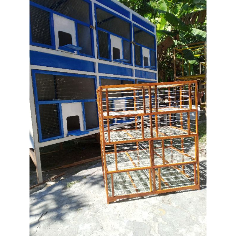 dondang/ pelepas merpati