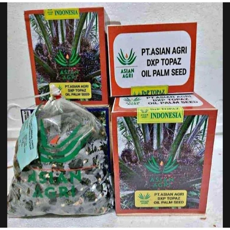 Benih Sawit Unggul TOPAZ original