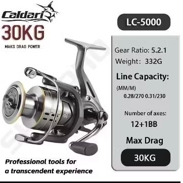 reel pancing CALDARI 2024