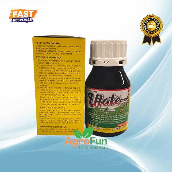 Ulate 550 SL INSEKTISIDA ULAT TANAMAN JAGUNG