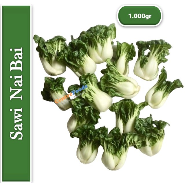 

Sawi Nai Bai Import - Pakcoy Bok Choy Mini Putih | 1.000gr [ Harga Per KG ]