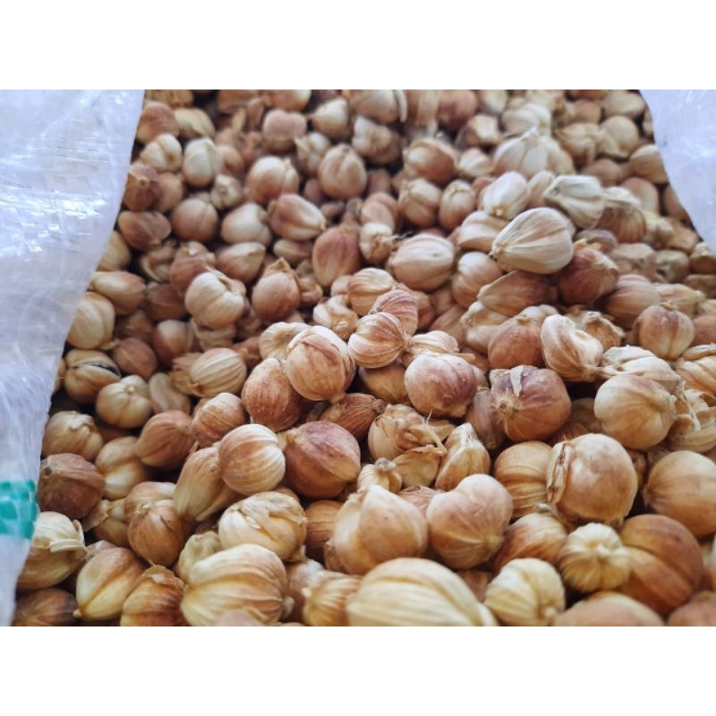 

Kapulaga kering 500gram Original Rempahan