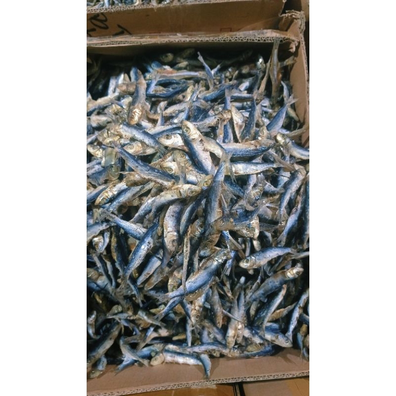 

ikan asin japuh kecil 100gr