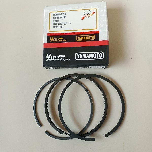 170F ring piston