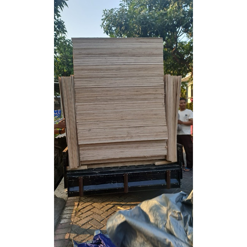 TRIPLEK MURAH 3MM (SENGON)