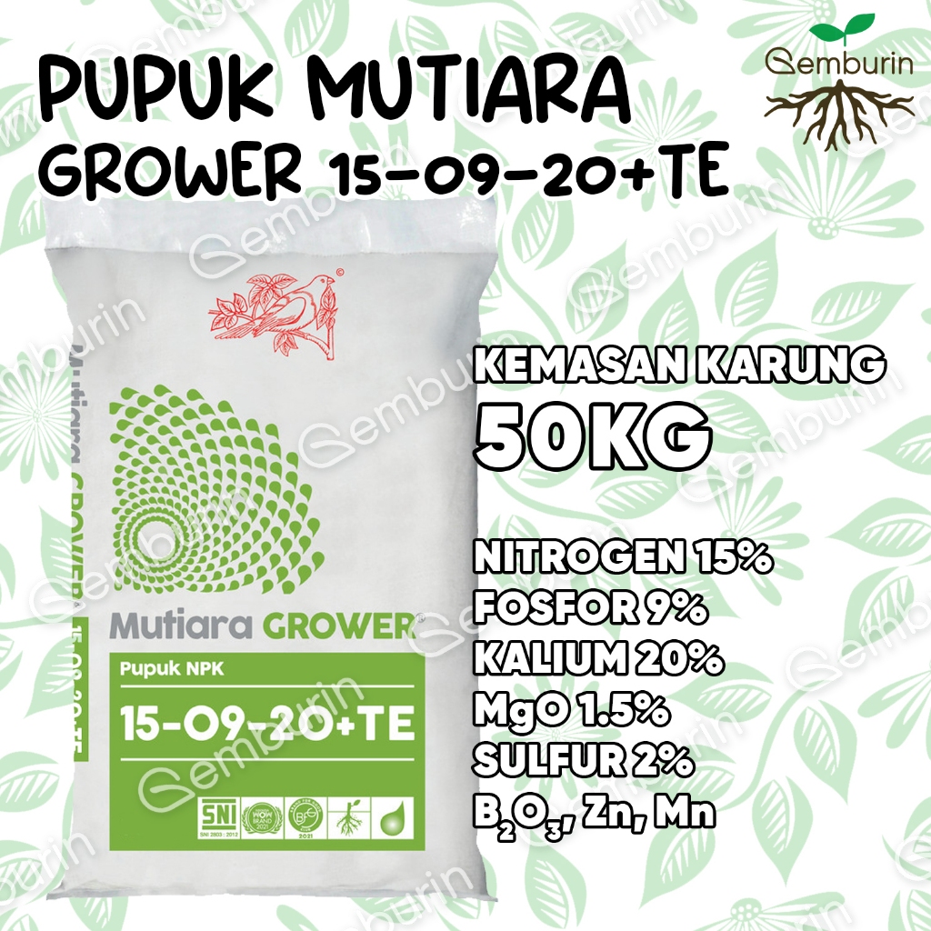 Pupuk NPK Mutiara Grower 15-09-20+TE Hijau KARUNG 50KG Kemasan ASLI PABRIK / Original Murah / Pupuk 