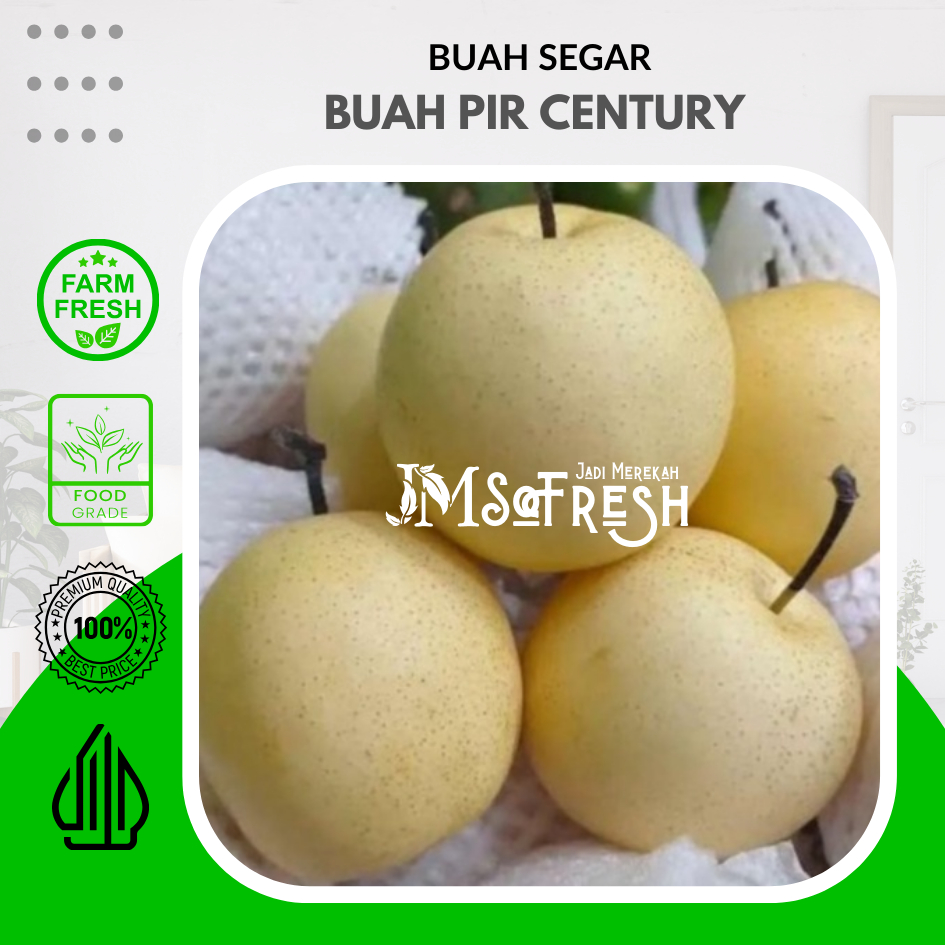 

[JM_SoFresh] Buah Pir Century Segar 1 Kg / Pear Fruit