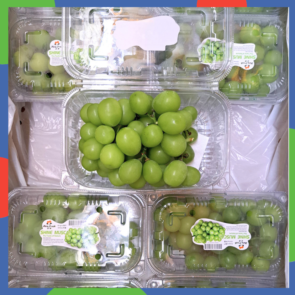 

Anggur Muscat DUS - Isi 10 Pack