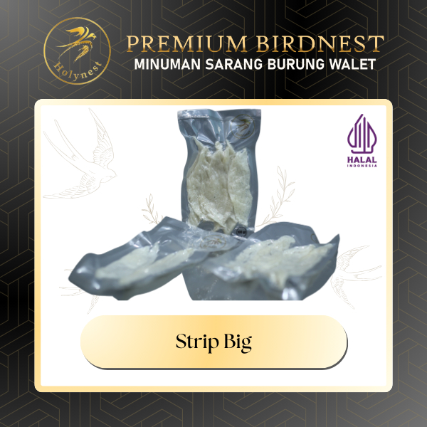 

Sarang Burung Walet Bersih Patahan Besar (Strip Big)