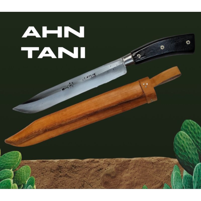 PISAU SEMBELIH HEWAN QURBAN