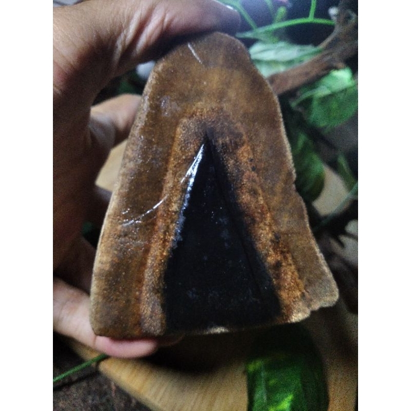 Bongkahan Batu/Rough/Akik/Fokay/Fosil Kayu/Junjung Drajat