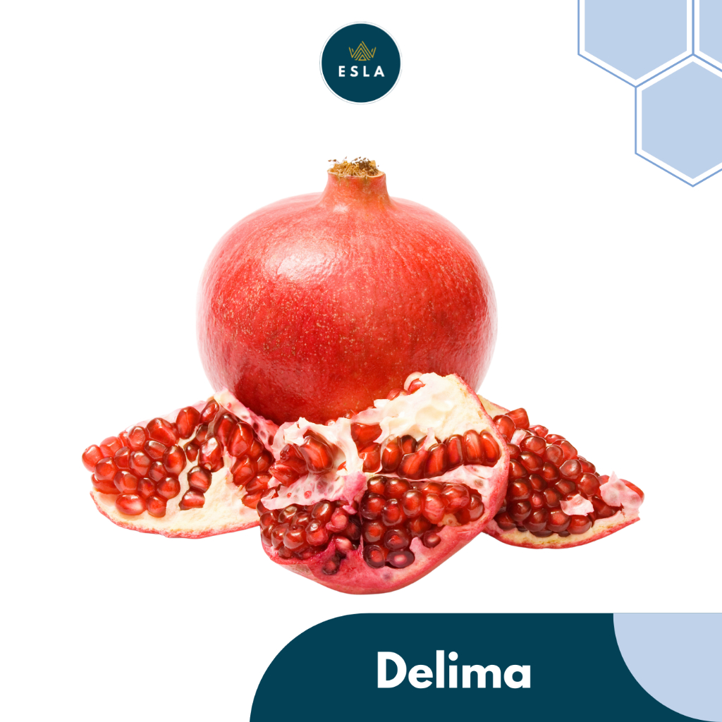 

DELIMA MERAH INDIA (1 BUAH) I Buah Fresh dan Premium - ESLA