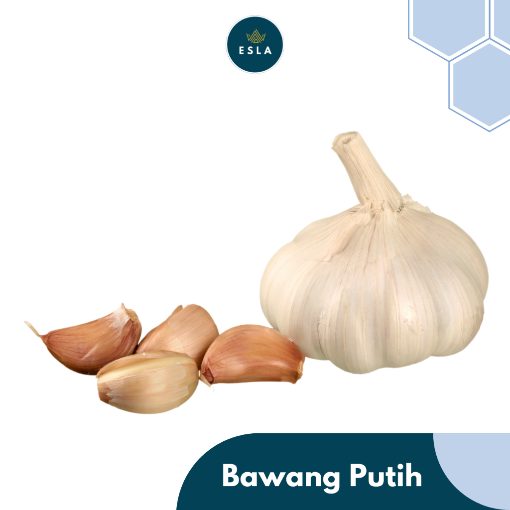

BAWANG PUTIH I Fresh dan Premium - ESLA