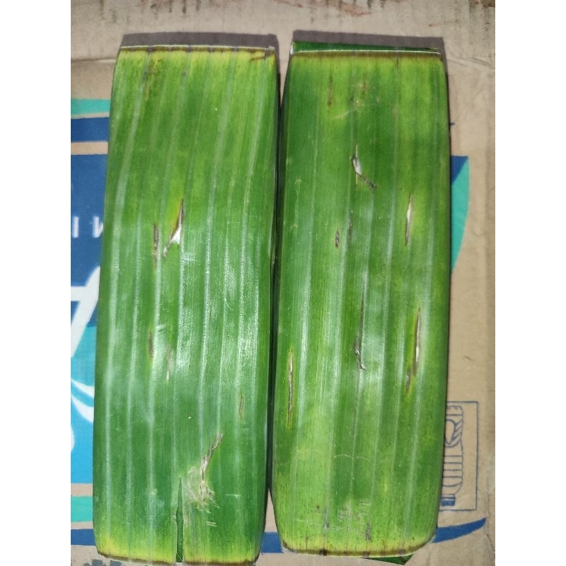 

TEMPE DAUN KECIL