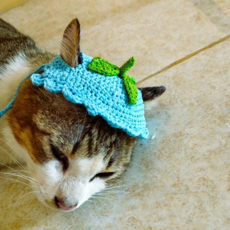 Topi kucing rajut / Topi kucing rajut handmade / Topi rajut costum / Bucket hat rajut / Aksesoris he