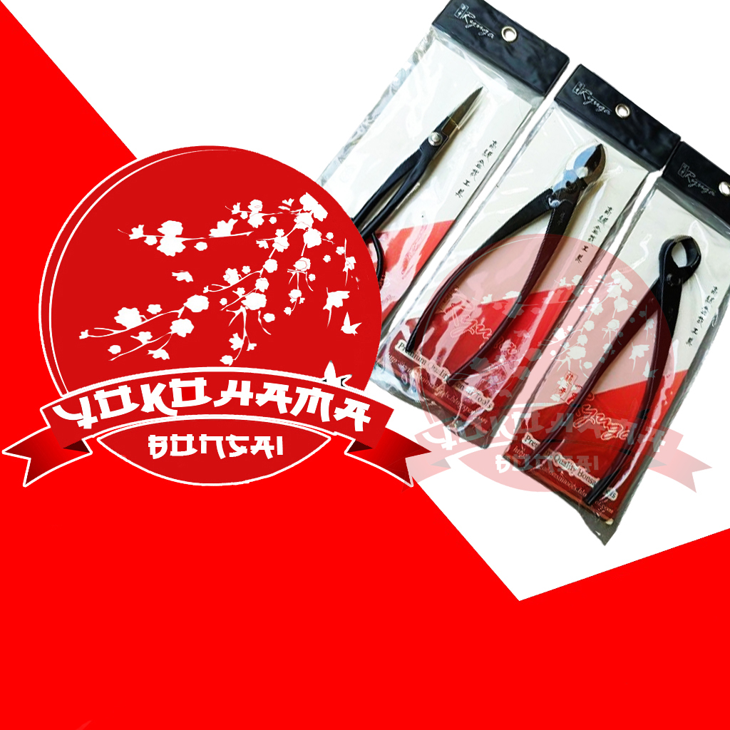 YOKOHAMA BONSAI-ALAT BONSAI RYUGA SET FREE ASAHAN