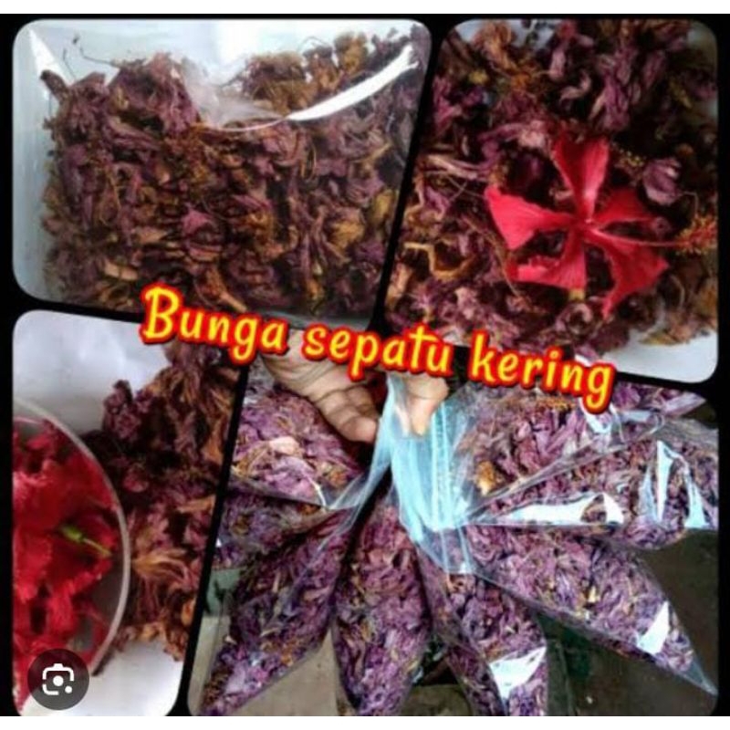 

Teh Bunga Sepatu Merah Kering Asli Matahari 25 Gram Premium Bersih Langka Obat Herbal Kecantikan Murah