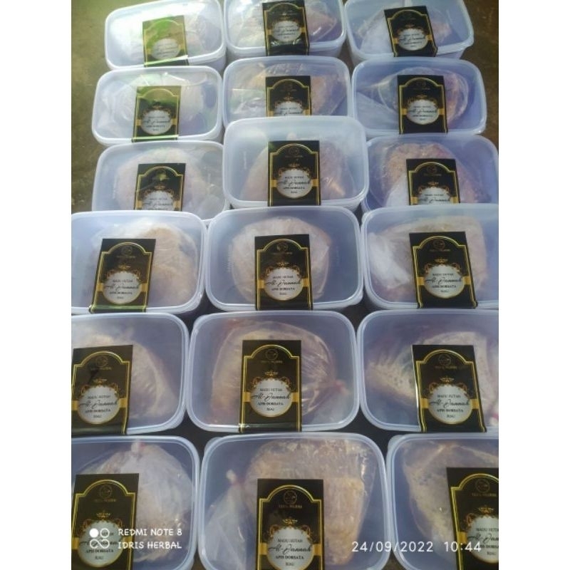

Madu sarang asli murni hutan liar 1kg sialang Sumatera pure honey comb lebah liar apis dorsata