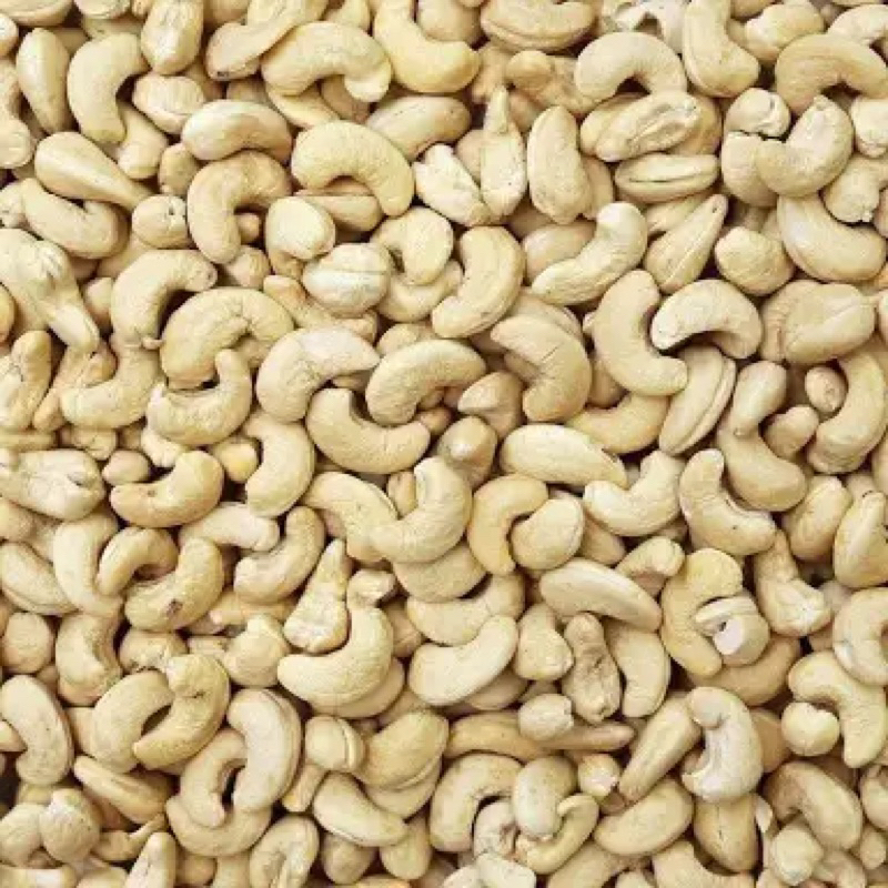 

Kacang Mete Mentah Jumbo premium