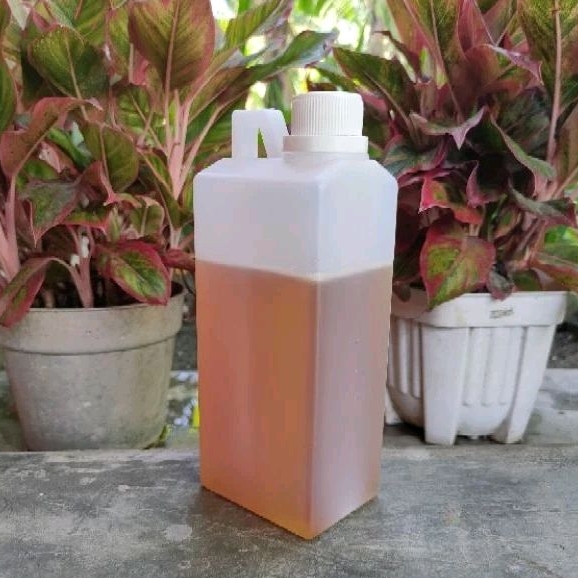 

Madu Mentah Multiflora Super Original Raw Honey 1000gram