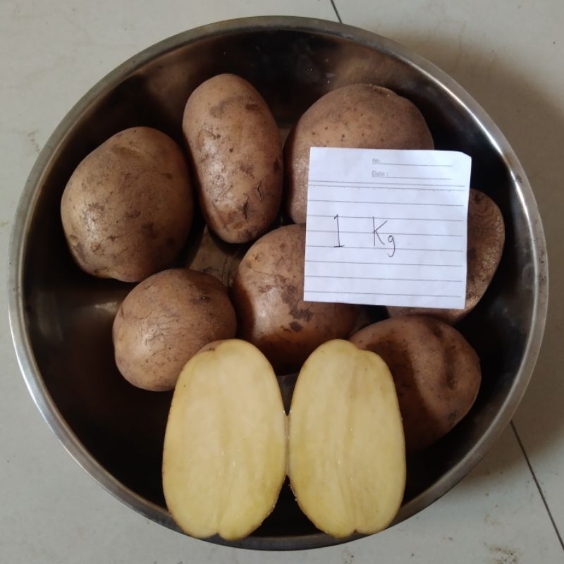

Kentang Besar (grade AL: 1 kg isi 5-8 umbi)