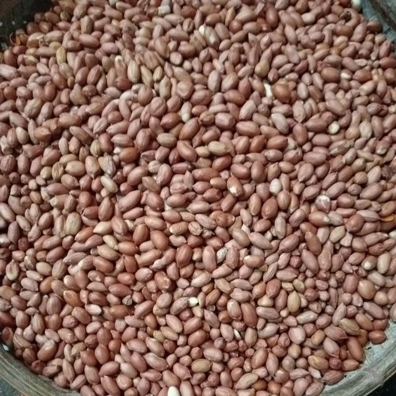 

kacang tanah Mozambik/1kg