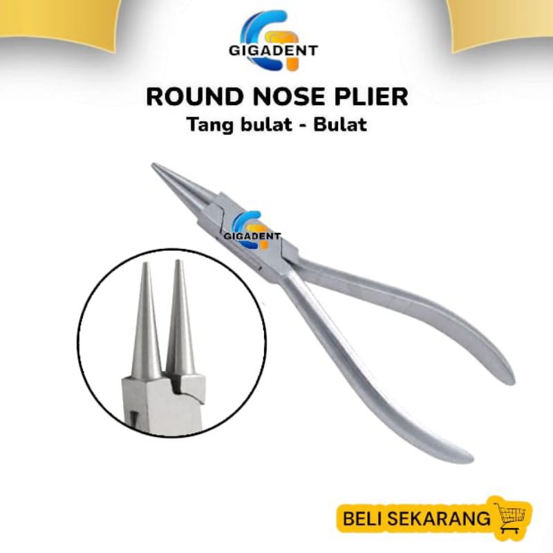 DENTAL INSTRUMENT TANG ORTHO / TANG ORTHO DENTAL / TANG PROSTHO