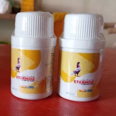 ETERNOZ KUNING JAMU MERPATI SPRINT DAN MANUVER MAKSIMAL
