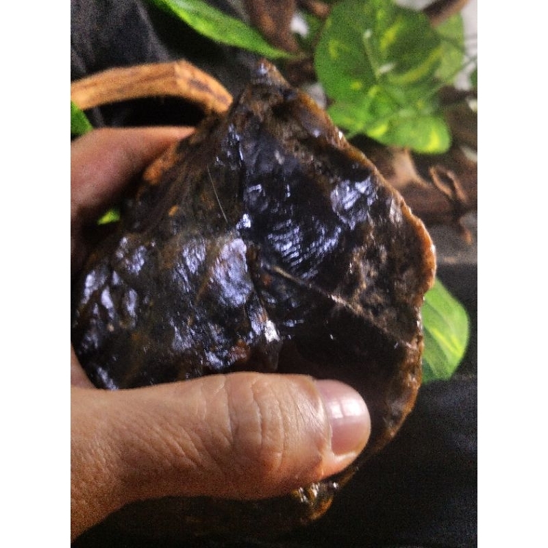 Bongkahan Batu/Rough/Akik/Kecubung Tanah/Asap