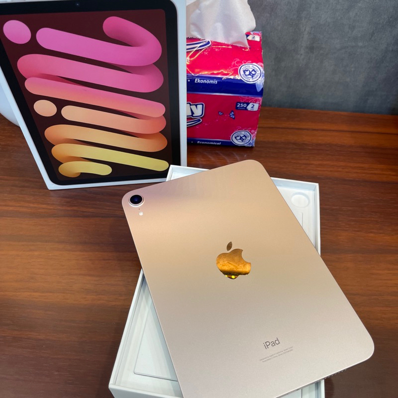 iPad Mini 6 256Gb wifi Only Pink inter lengkap