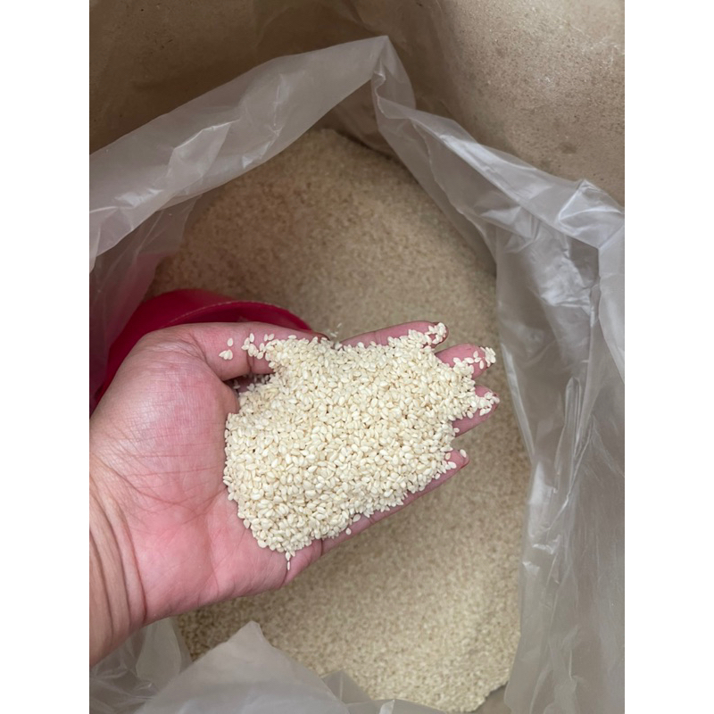 

wijen putih / white sesame seed 500gram