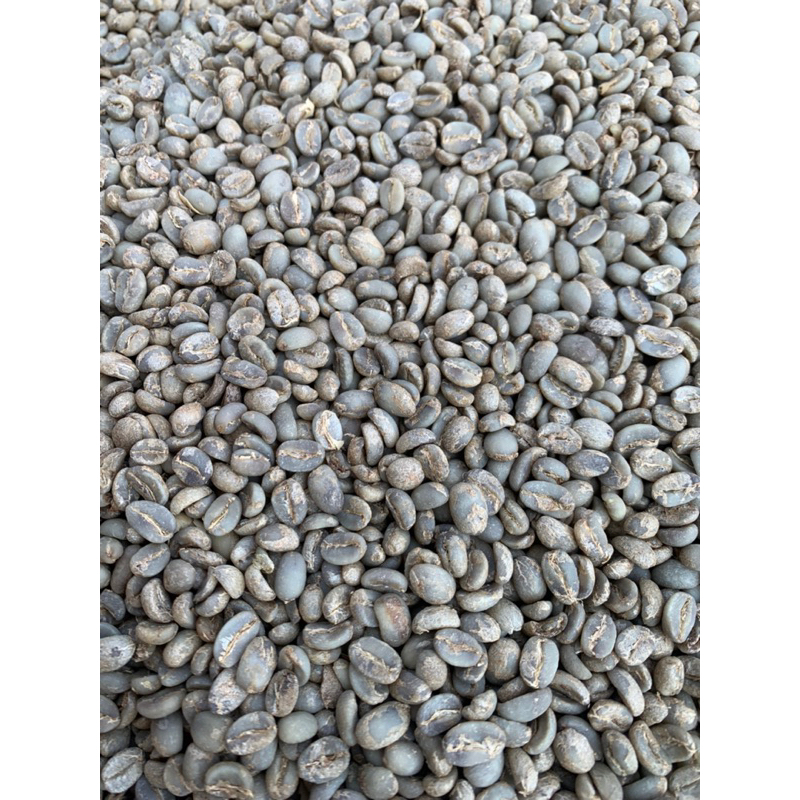 

Green bean arabika semi wash pangalengan