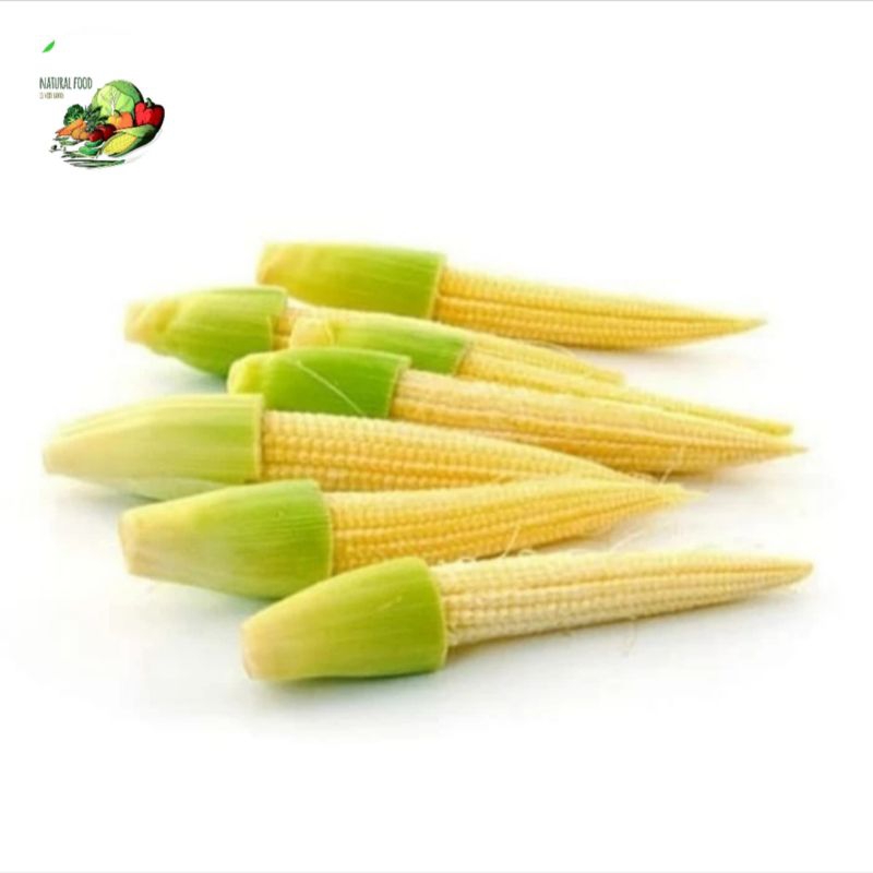 

beby corn, jagung muda kecil - 200gr