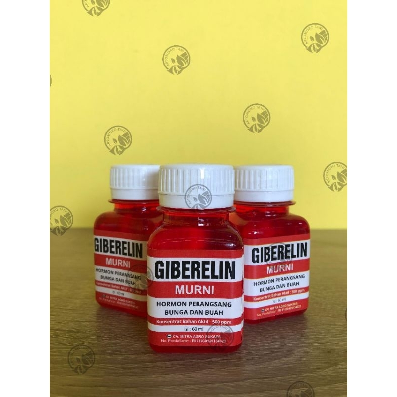 ZPT GIBERELIN 60ML