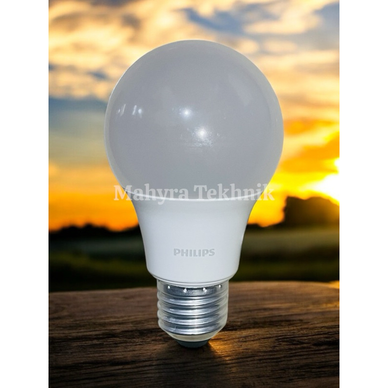 LAMPU PHILIPS LED 10w