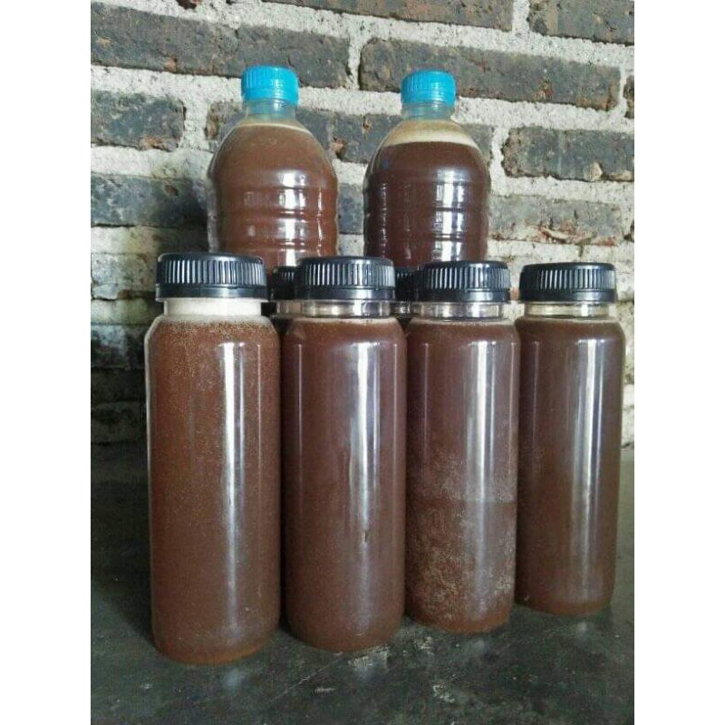 

madu klanceng levicep ± 250ml / Trigona / levicep / madu murni klanceng levicep