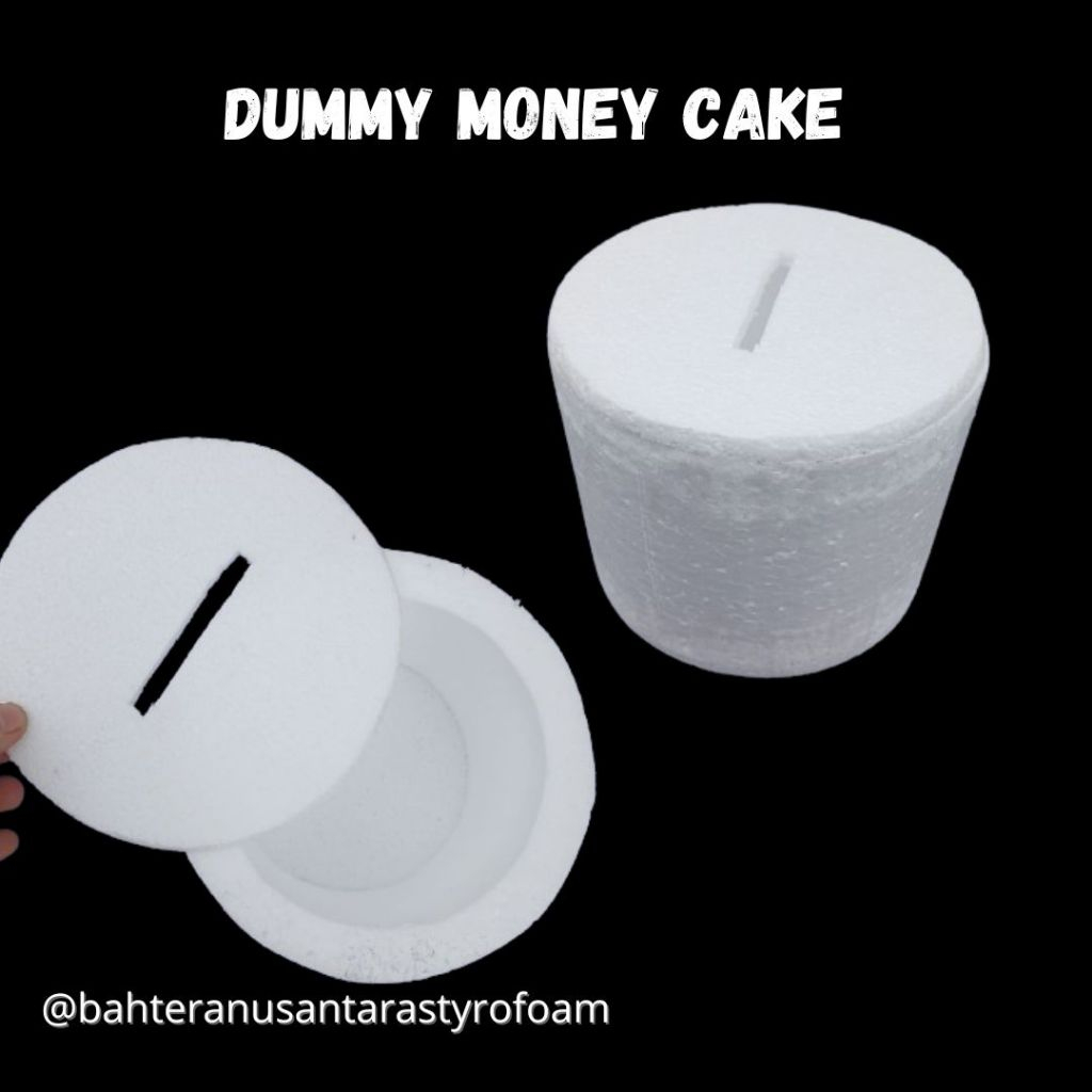 DUMMY MONEY CAKE