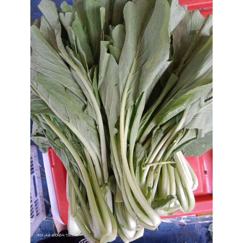 

Sawi hijau manis 1 kg