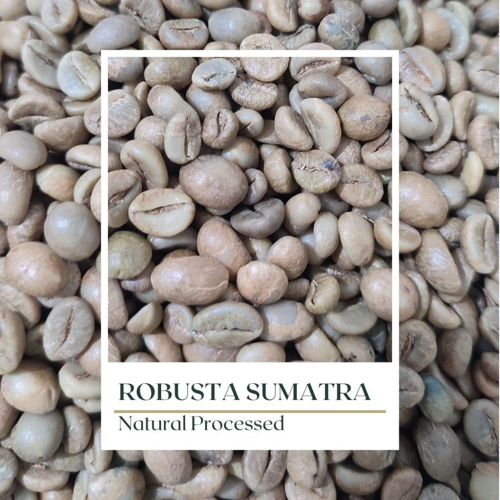 

Green Bean Robusta Sumatra - Fine Grade - Biji Besar - Natural Processed - 1kg