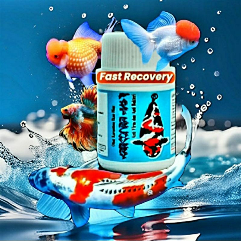 OBAT IKAN KARANTINA CUPANG/KOI/TAMASABA/KOKI/FAST RECOVEEY 50ML/DROPSY JAMUR PARASIT, SISIK NANAS
