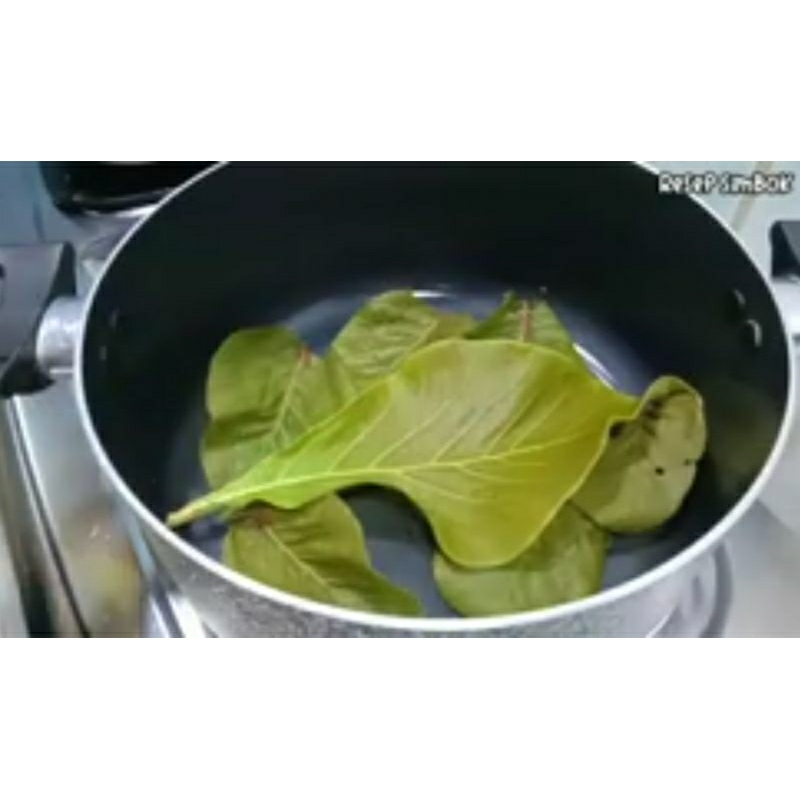 

daun jati muda/daun jati pelengkap gudeg/daun jati/pewarna gudeg