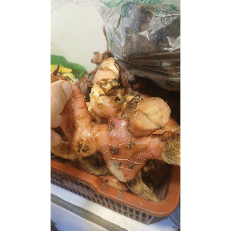 

lengkuas merah super peromo hari ini pk sr 1 kg